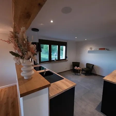 Holiday home Eifellodge - Am Roten Sandberg *